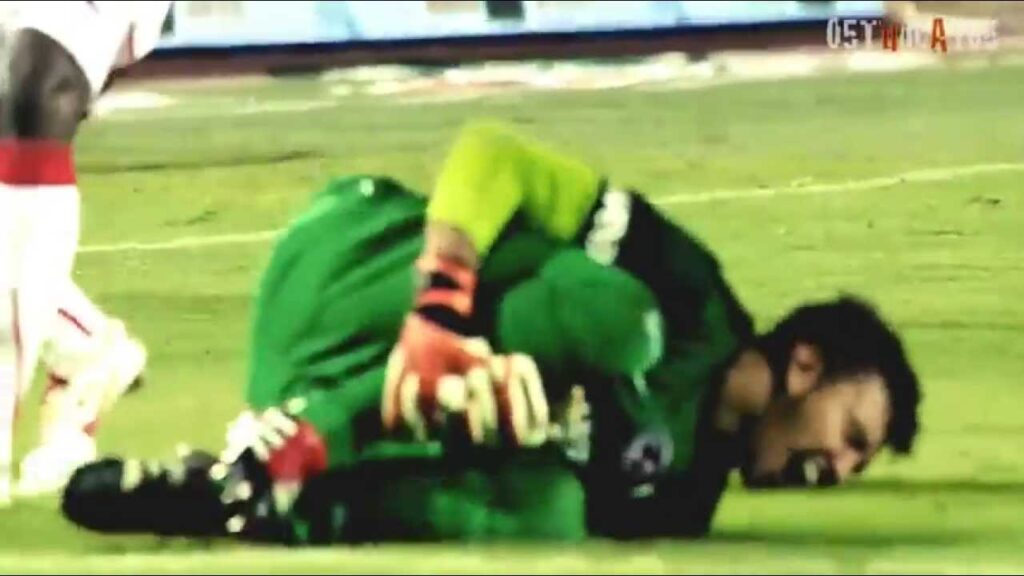 Fernando Muslera Galatasaray Best Of 2013 ᴴᴰ