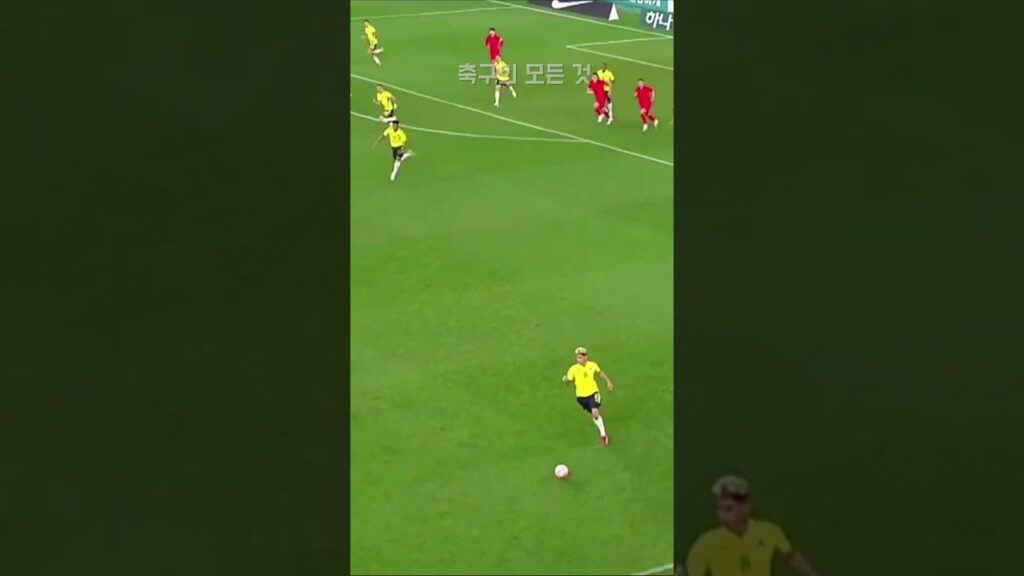 황인범이 국대에 필요한 이유 ㄷㄷ