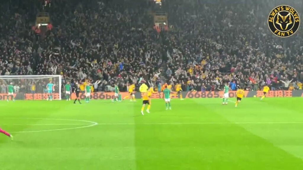 Hwang Hee-Chan EQUALISER vs Newcastle with Wolves Fans Celebrations