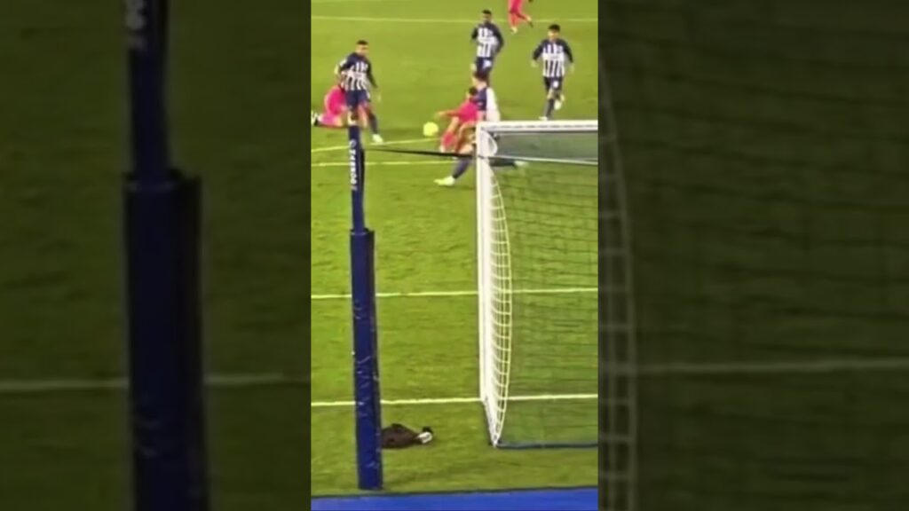 João Palhinha goal vs Brighton 2023/24