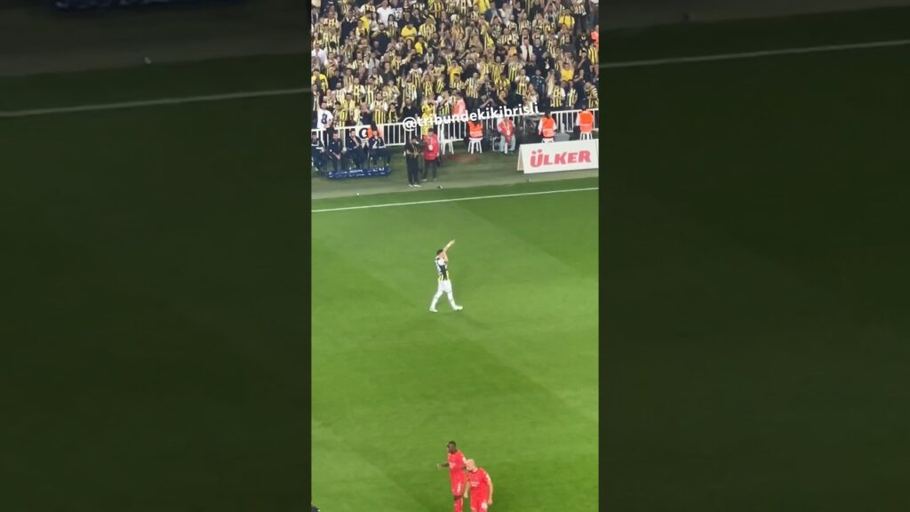 Sebastian Szymanski Gol Sevinci | Fenerbahçe 4-2 Hatayspor