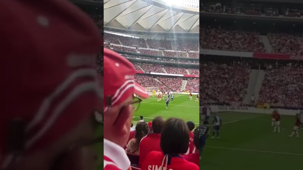 Rodrigo de Paul goal vs Mallorca 2023