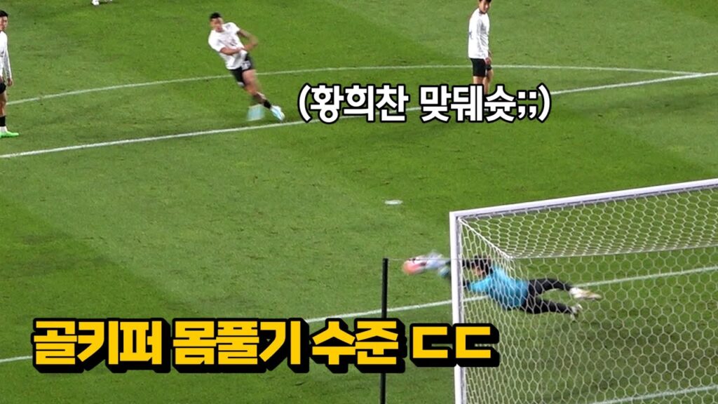 황희찬 맞뒈슛 막는 국가대표 골키퍼 수준ㄷㄷㄷ  with 김승규, 김동준, 송범근 골키퍼 웜업