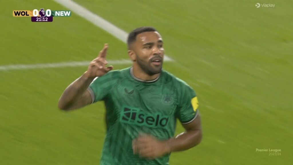 Callum Wilson Goal,Wolves vs Newcastle (1-2) All Goals and Extended Highlights