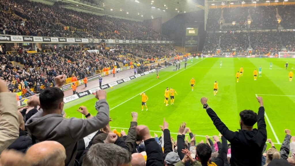 황희찬 Hwang Hee-chan goal v Newcastle (28/10/23)