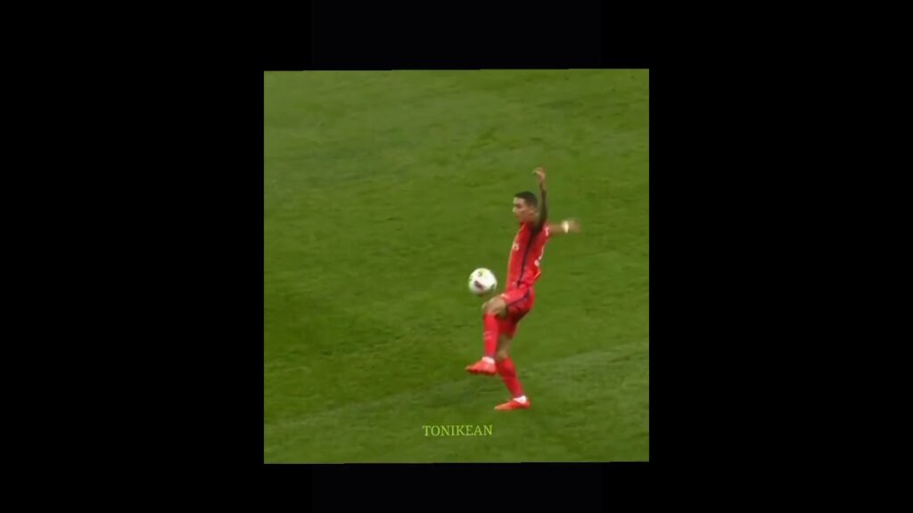 Angel di maria - skills