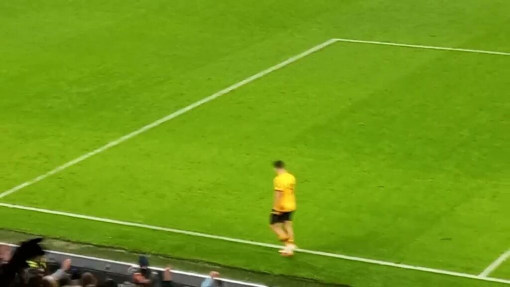 Raul Jimenez Si Senor Ovation. Wolves 3-1 Southampton.