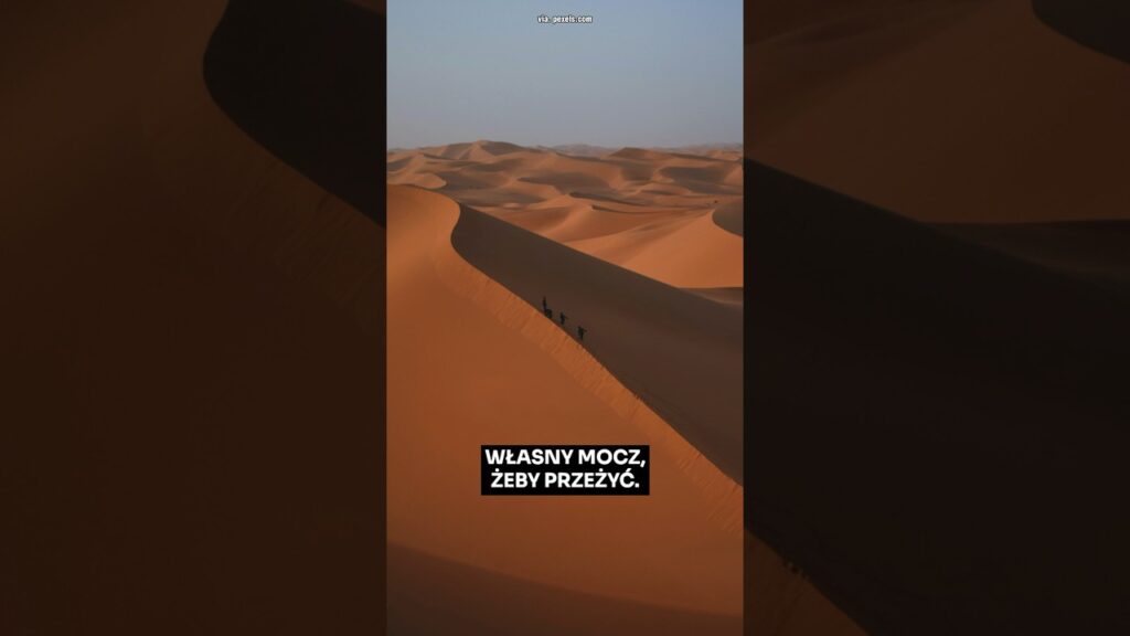 DLACZEGO INAKI WILLIAMS MA NIETYPOWE IMIĘ? #shorts