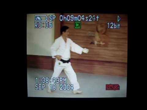장권 - Janggwon pumsae demonstrated by Great Grandmaster Park Chull Hee