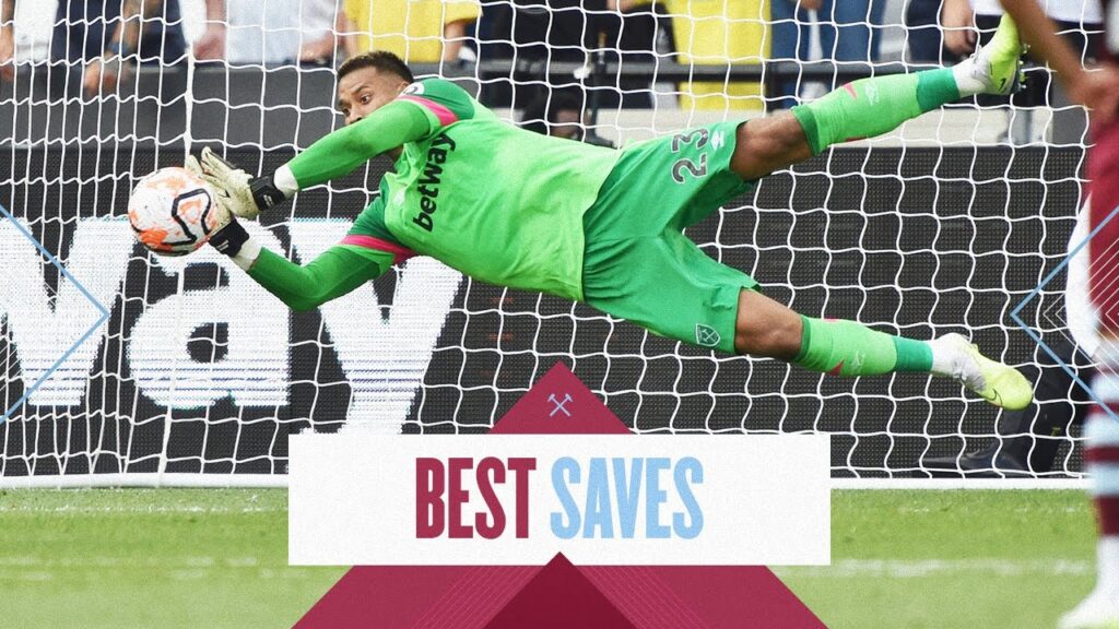 Areola's Best Saves From The Season So Far 🤩