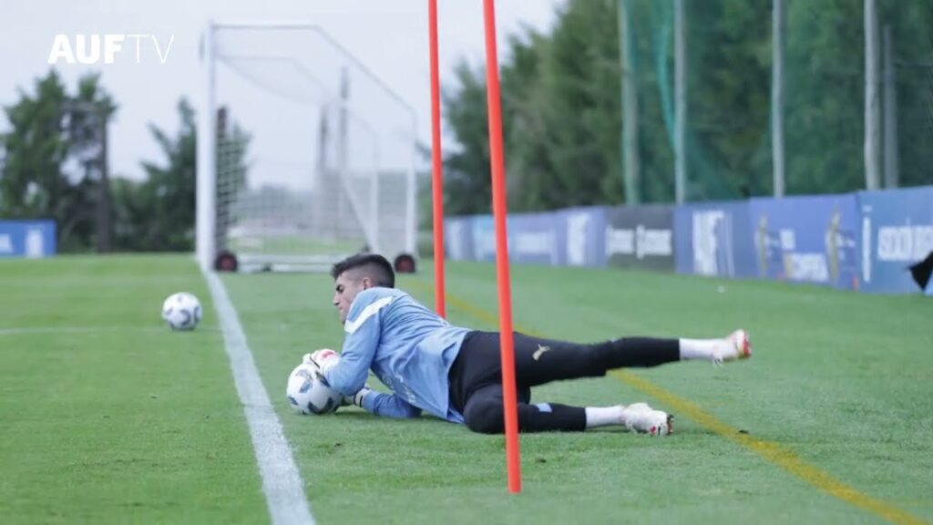 Los primeros convocados de Uruguay llegaron al Complejo Celeste