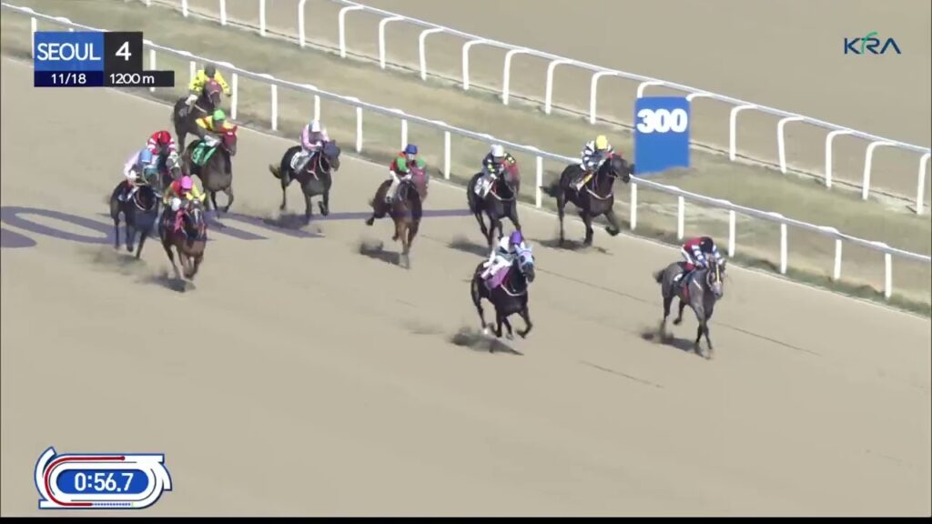 (Seoul) 2023.11.18 R4 Class 4 (1200M) Special Weight A