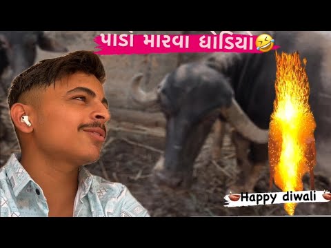 પાડો મારવાં ધોડિયો🤣||🪔happydiwali🪔 #happydiwali #gujrati #vlog #comedy #happynewyear