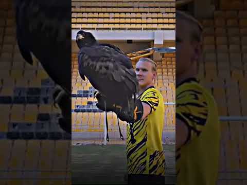 Domagoj Vida Renewal #aek #original21#domagojvida #superleague