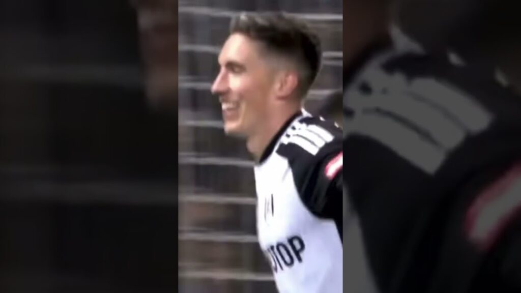 Harry Wilson goal v Ipswich #fulham fulham #edit #football #wilson #wales #goals