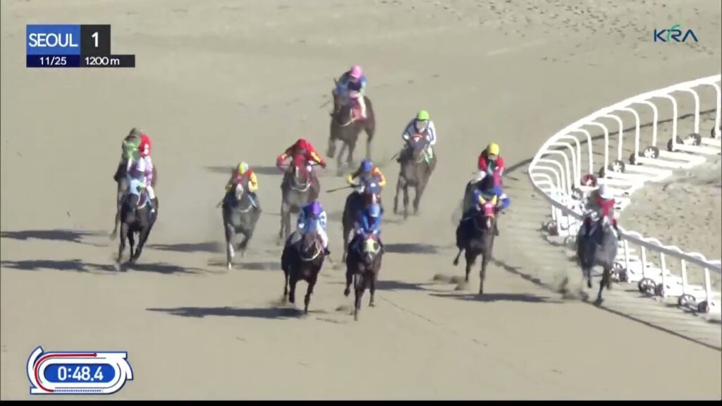 (Seoul) 2023.11.25 R1 Class 6 (1200M) Special Weight A