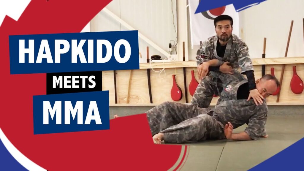 Hapkido meets MMA (Kyuksuldo)