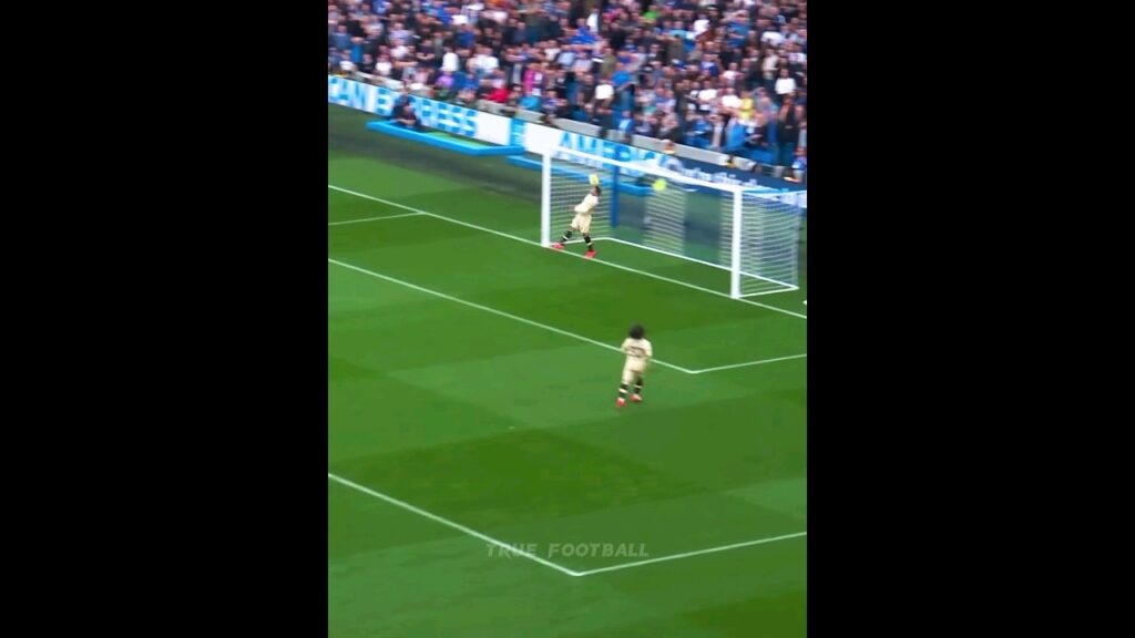 Thiago Silva's LEGENDARY SAVES