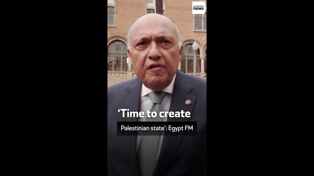 ‘Time to create Palestinian state’: Egypt FM