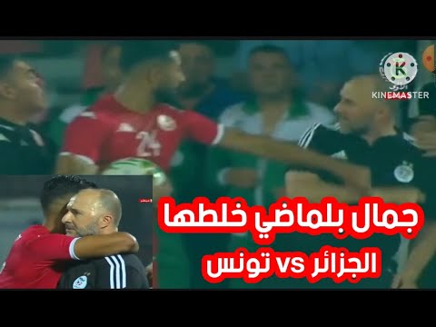 بلماضي خلطها مع اللاعب التونسي عبدي | الجزائر 1-1 تونس | djamel belmadi vs tunisie