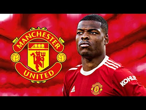 DENZEL DUMFRIES - Welcome to Manchester United? - 2022 - Insane Skills & Goals (HD)