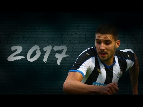 Aleksandar Mitrovic ~Goals,Skills,Assists~ |2017|