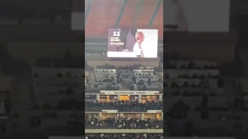 Immer wenn man Julian Brandt sieht | #foryou #fy #dfb #fussball #onepiece #julianbrandt #germany