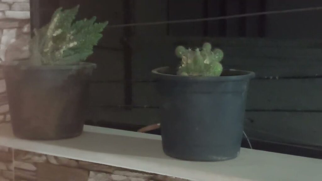 Ronaldo 2 Hattrick +90 🐐🚀Al Nassr vs Taawoun 8-2 || Mane Goal & Skills ||All Goals& Highlights 2023