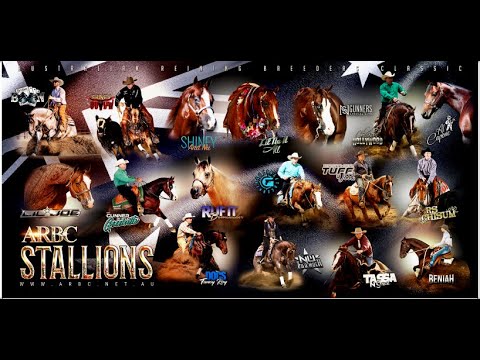 2023 ARBC Nominated Stallions Line Up