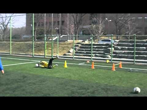 Carlão - GK Cho Hyun Woo