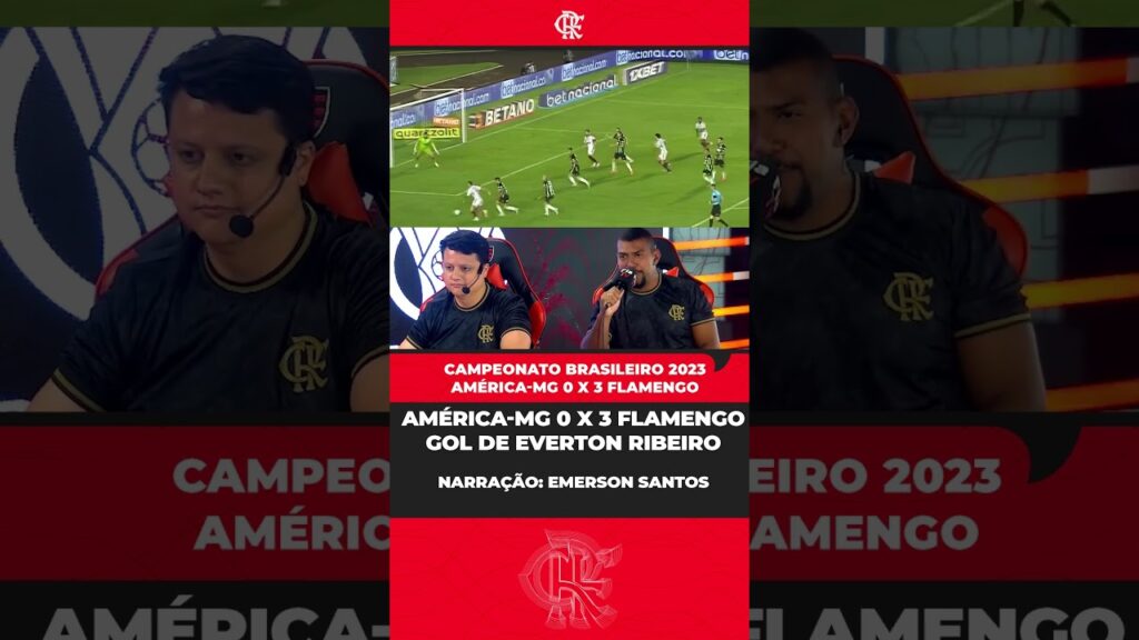 Confira o gol do Everton Ribeiro na vitória do Mengão no Brasileirão! #flatv #flamengo