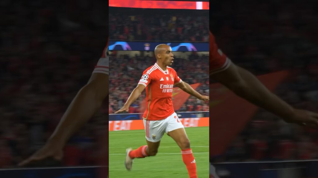 ⚽ O 𝐡𝐚𝐭 𝐭𝐫𝐢𝐜𝐤 de João Mário! #SLBFCIM #UCL