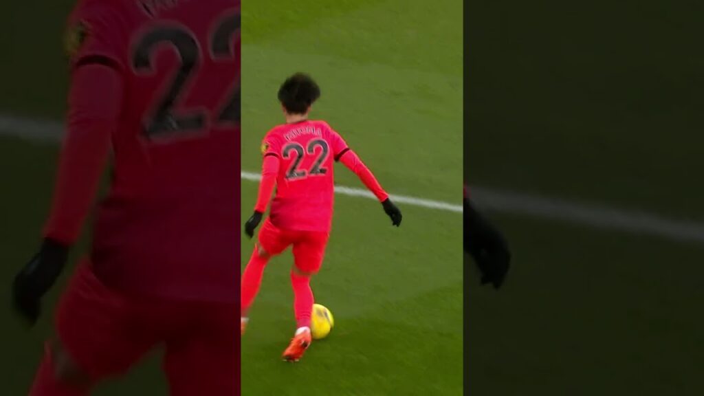 Mitoma's January Goals