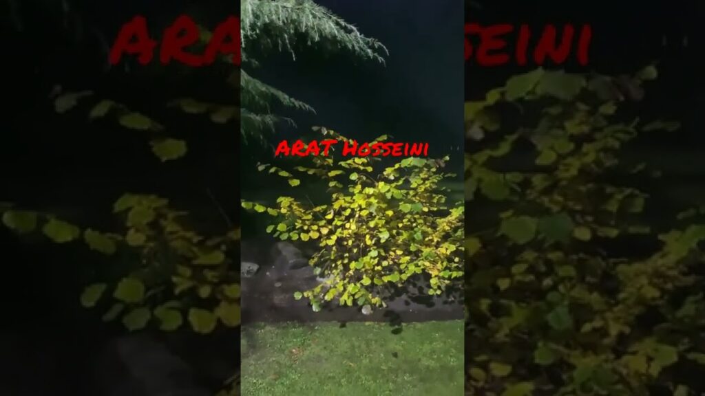 Arat Hosseini Hardworking 2022  #ARATHosseiniOfficial #arat