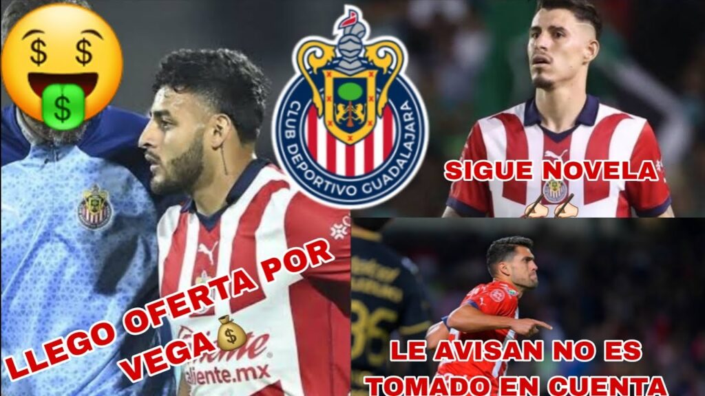 🚨CAE OFERTÓN POR ALEXIS VEGA! SIGUE NOVELA CON CHICOTE CALDERON Y PRÓXIMA BAJA EN EL REBAÑO.