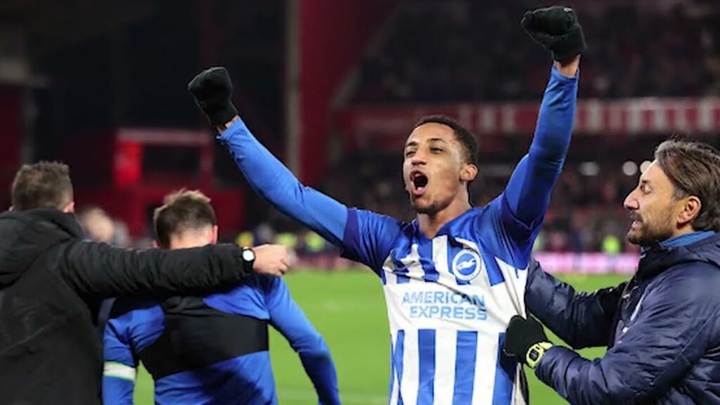 تعليق كرة القدم: نوتنجهام فورست vs برايتون - العودة إلى الأرض