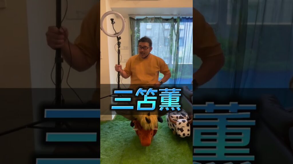 W杯クイズ！共通点は？ #shorts #三苫薫 #田中碧 #権田修一 #板倉滉 #ワールドカップ #w杯