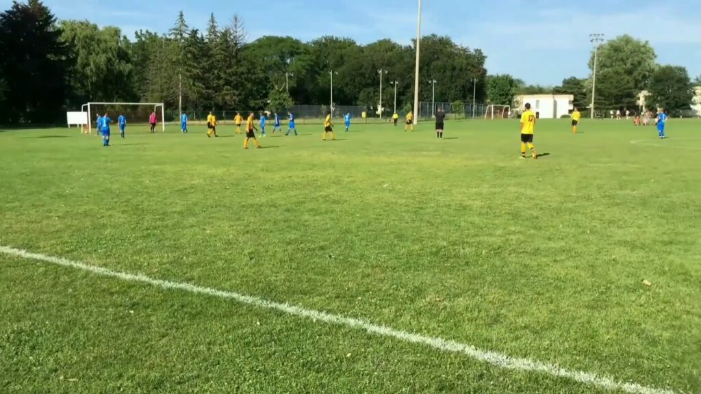 Stefan Mitrovic highlights July 2019