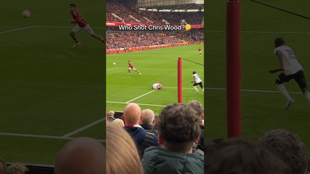 Who Shot Chris Wood? #funny #shorts #premierleague #brexit