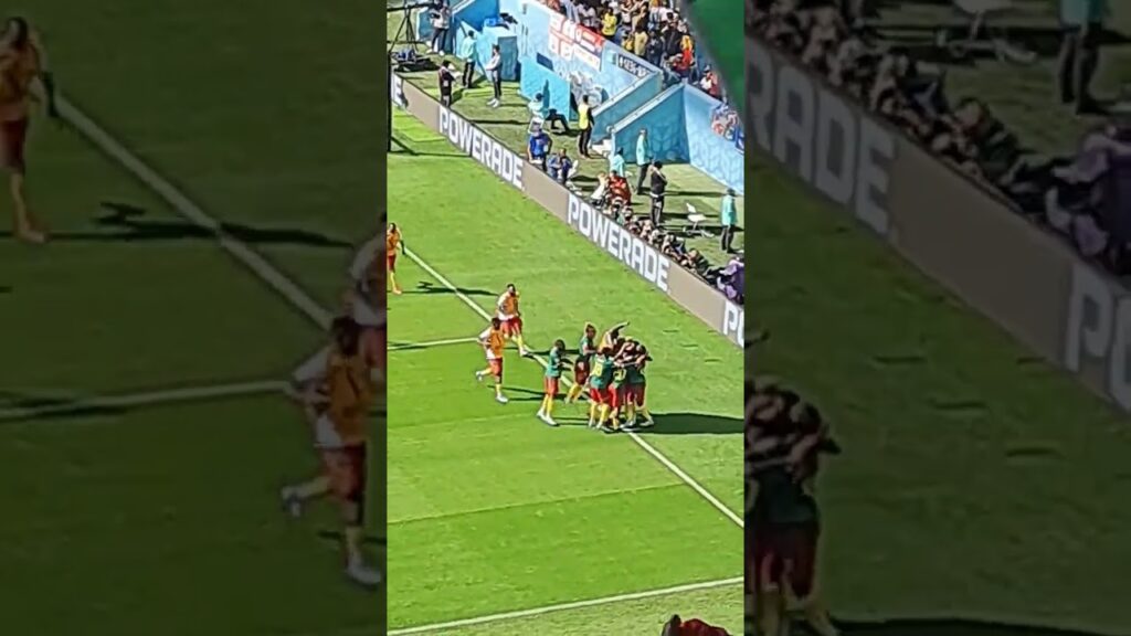 Cameroon vs Serbia 3-3 (goal Jean-Charles Castelletto) one of the best goals in the World Cup 2022