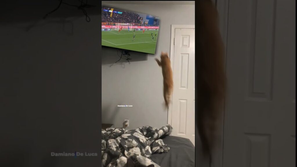 Gol di Kristensen in Sassuolo Roma MEMES