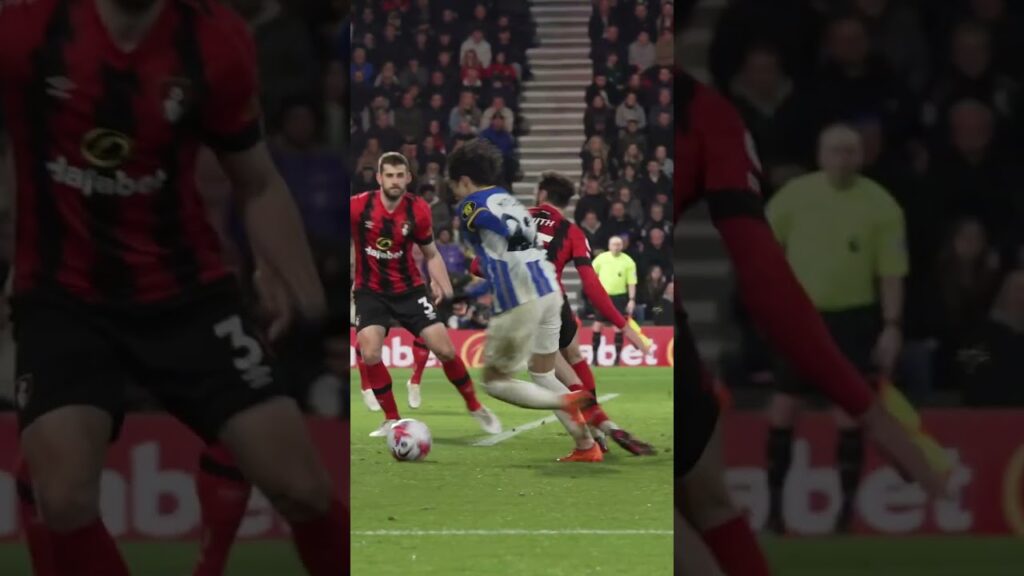 Catch Me If Kaoru Can 🏃🏻 Catch Me If Kaoru Can 🏃🏻