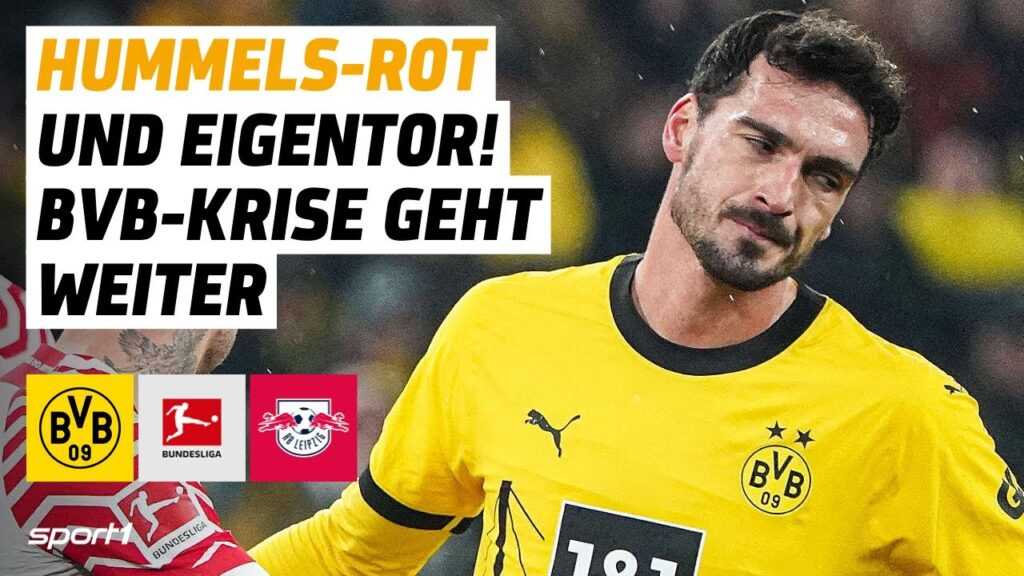 Borussia Dortmund - RB Leipzig | Bundesliga Tore und Highlights 14. Spieltag