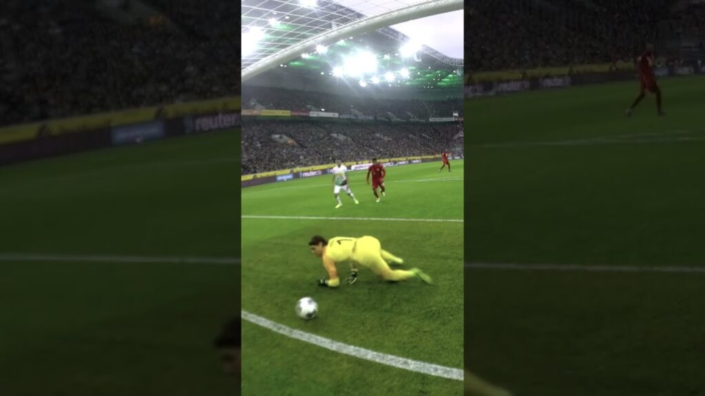 🔙 2019 Yann #Sommer 😮‍💨 #diefohlen #OnThisDay #bundesliga