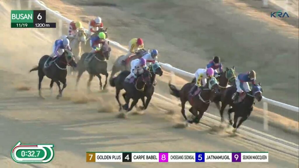 (Busan) 2023.11.19 R6 Class 2 (1200M) Handicap