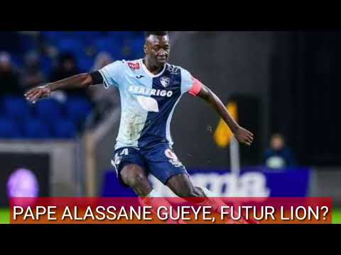 Portrait de Pape Gueye, Patron du Havre et futur boss du milieu des lions du SÉNÉGAL 🇸🇳🇫🇷