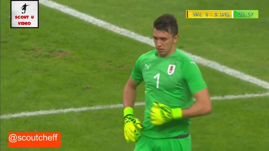 Fernando Muslera - Uruguay - Walles Performance 2018