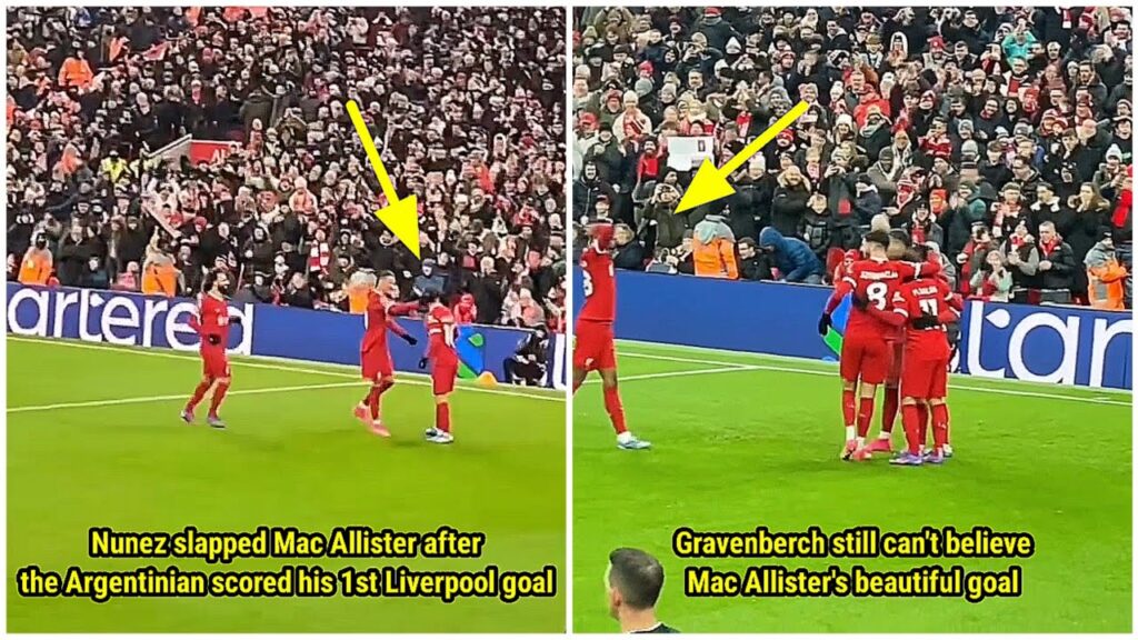 Liverpool players react to Alexis Mac Allister's stunning goal | Liverpool vs Fulham 2-2 | 1st Half