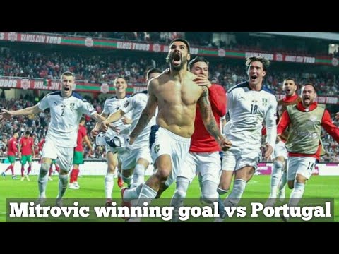 Aleksandar Mitrovic goal vs Portugal | Portugal 1-2 Serbia