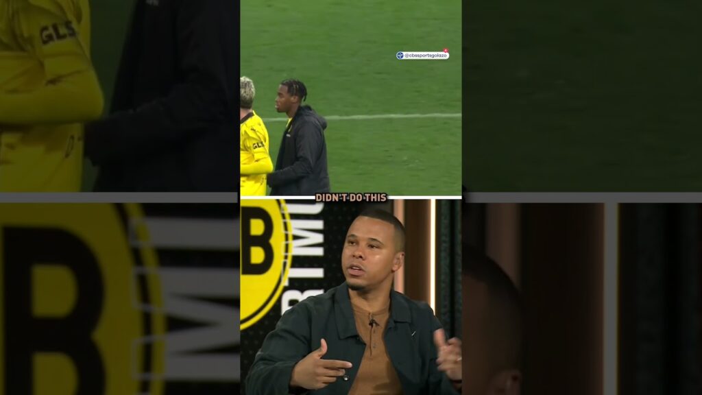 Gio Reyna was NOT happy with Mats Hummels!